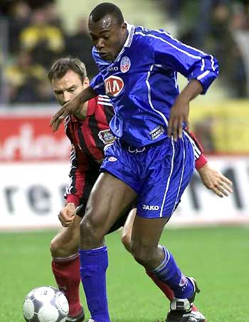 不仅展示了 不仅展示了